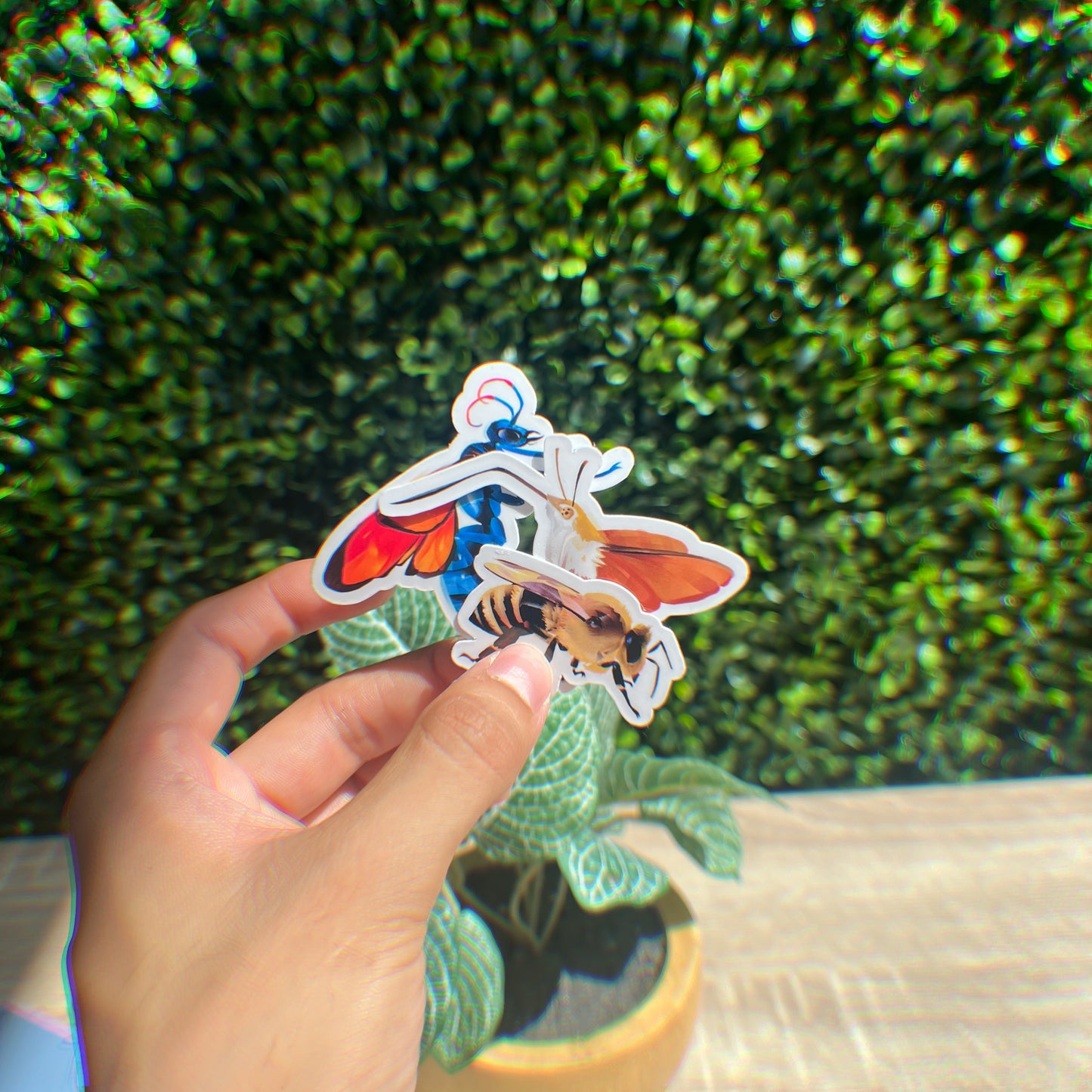 Jumbo Pollinator Stickers