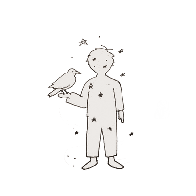 The Observer